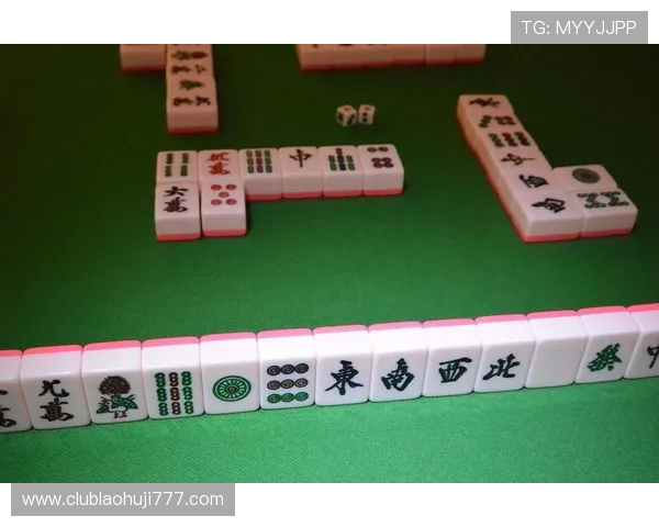 掌握麻将技巧的必备免费电子书,详细讲解各种麻将玩法与技巧