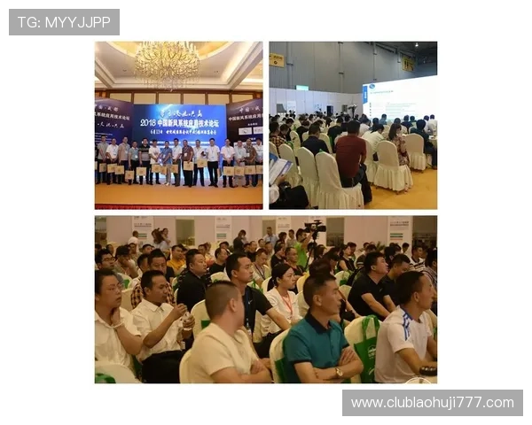 探索霍伊尔角子机游戏的历史背景与未来发展趋势助你把握行业动态