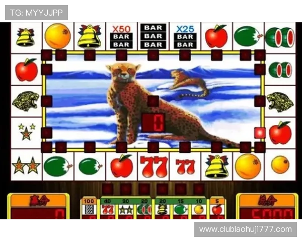 雪豹老虎机手机版下载攻略教程，助你掌握游戏技巧提升中奖率